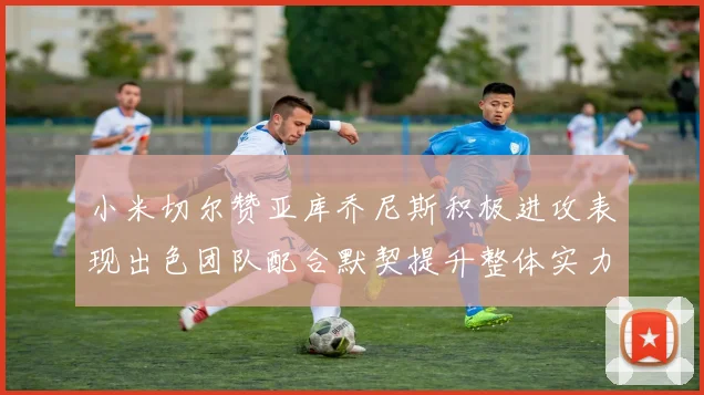 小米切尔赞亚库乔尼斯积极进攻表现出色团队配合默契提升整体实力