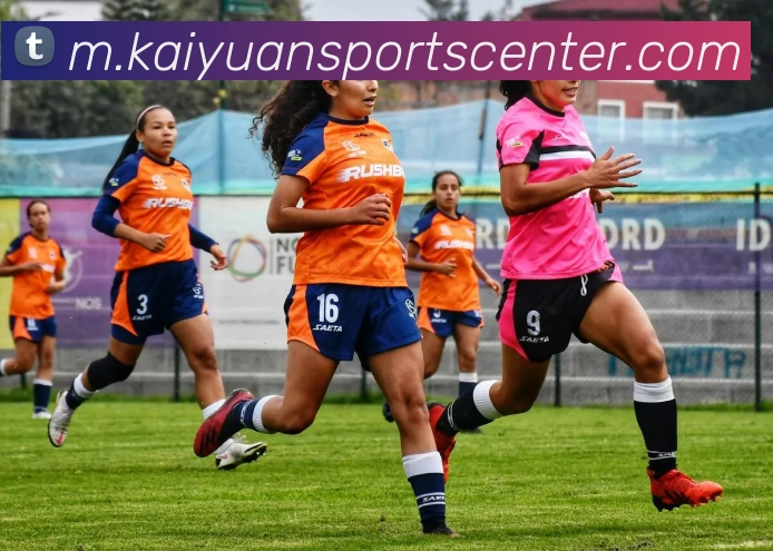 App Interface Preview